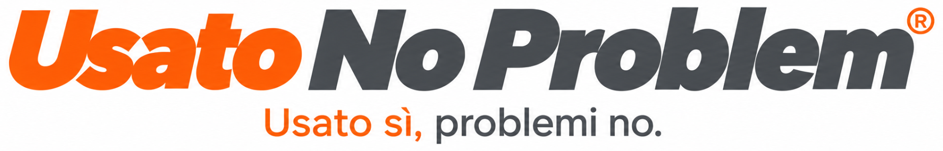 Logo originale Usato No Problem®